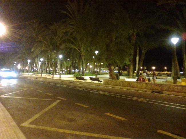 Parc d'Elx, from the new bus stop