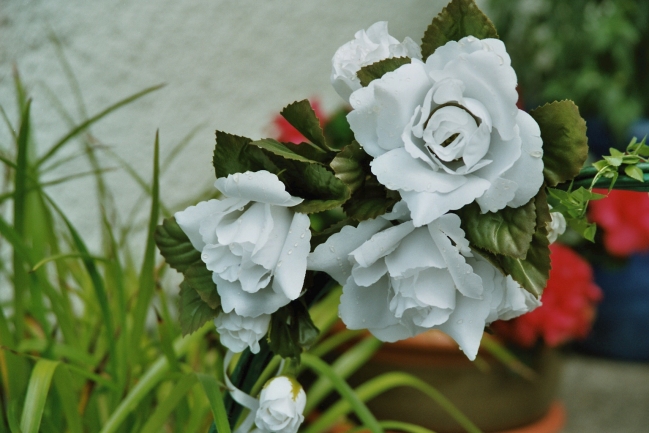 Weisse künstliche Rosen, 