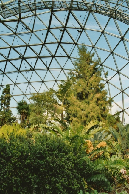 Botanischer Garten der Universität Düsseldorf, Dome