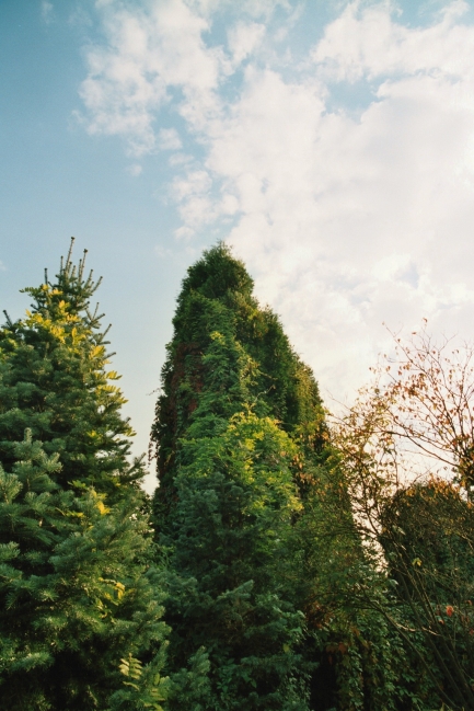 Botanischer Garten Düsseldorf, 