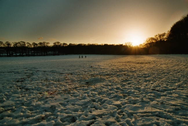 Schneefeld, Düsseldorf Grafenberg