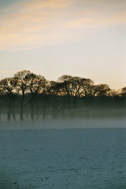 Nebel in den Bäumen, Nebel liegt über einem Schneefeld im Düsseldorfer Nord-Osten, in der Nähe des Grafenberger Waldes und der Rennbahn