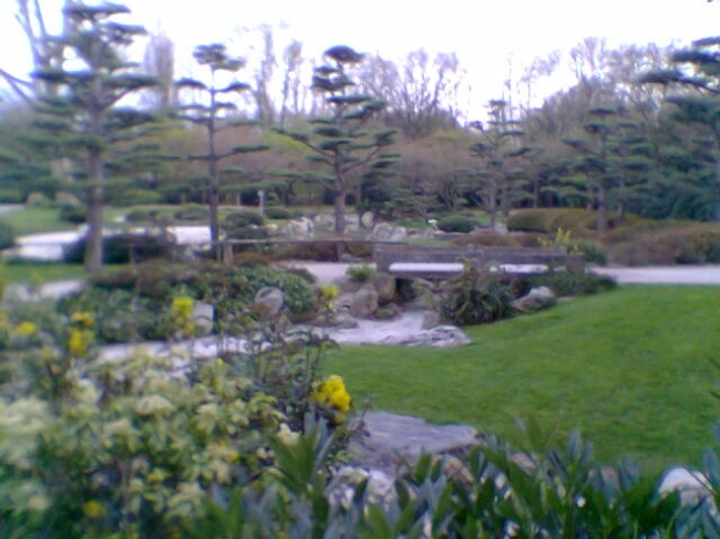 Japanischer Garten, im Nordpark in Düsseldorf