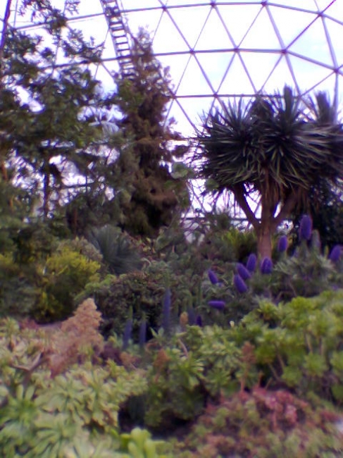 Im Dome, des Botanischen Gartens der Universität Düsseldorf