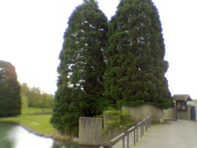 Im hinteren Teil des Botanischen Gartens, Uni Düsseldorf