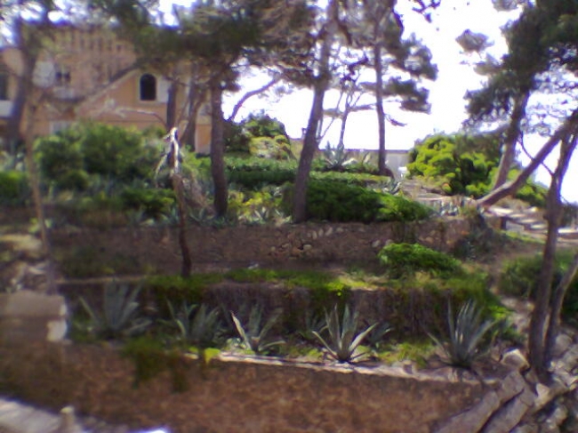 Garden terraces, 
