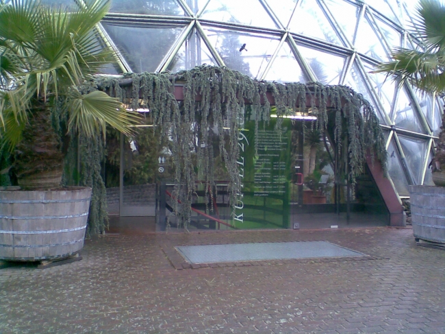 Buckminster Fuller geodesic dome at the Botanischer Garten Düsseldorf, 