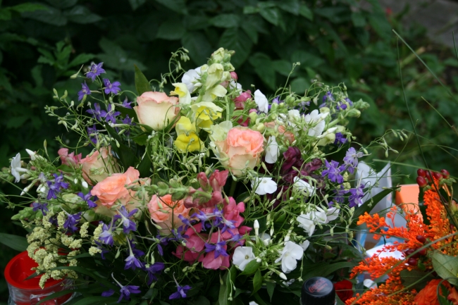Mehr Blumen!, 