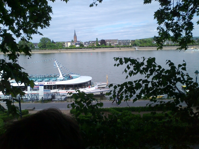 Bonn: Auflugsdampfer auf dem Rhein, gesehen vom Ostufer aus