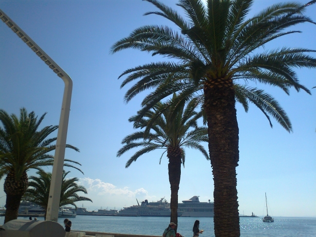 Split: Palm and the sea, 
