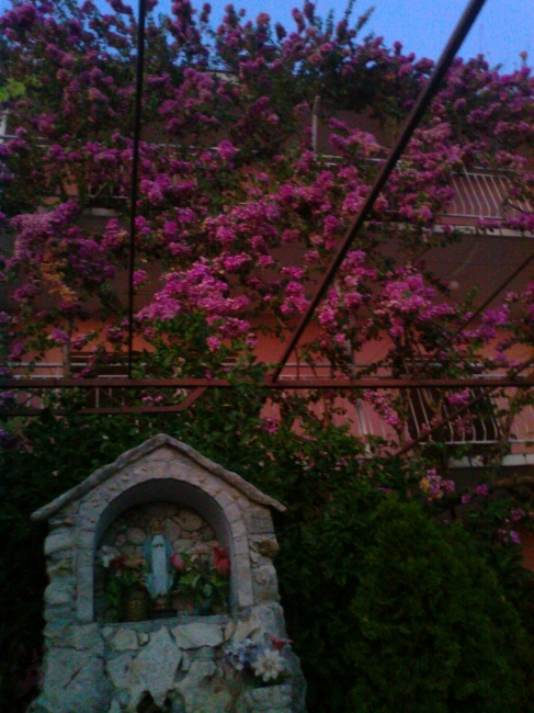 Maria shrine and flowers, 