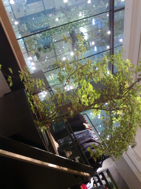 Atrium and rear staircase of the newly renovated Marc O'Polo store on Theatinerstraße, Munich, 