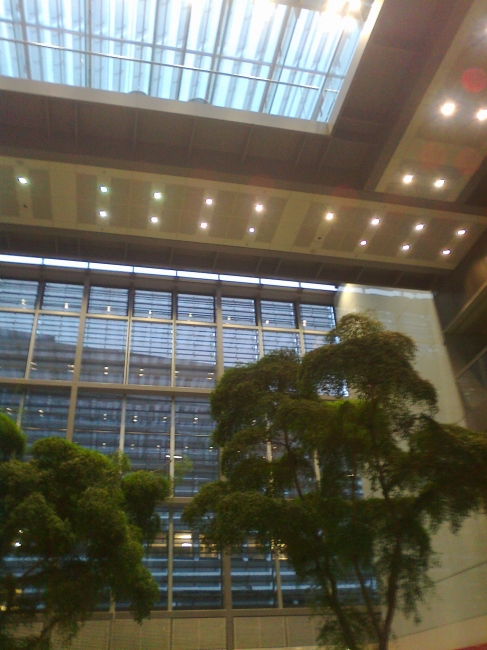 Foyer of the Sparkasse Düsseldorf, near Kö-Arkaden, complete with trees and ATMs