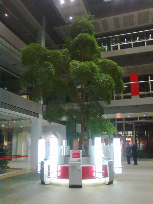 ATMs at Sparkasse surrounding a tree, 