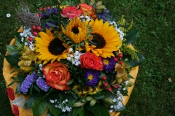 Sonnenblumen, Rosen etc