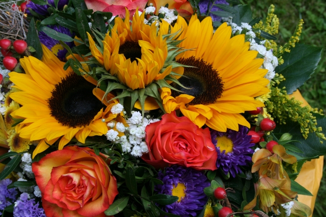 IMG_1046.JPG, Sonnenblumen und Rosen