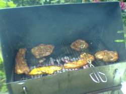 Bild013_GrillenFleisch...