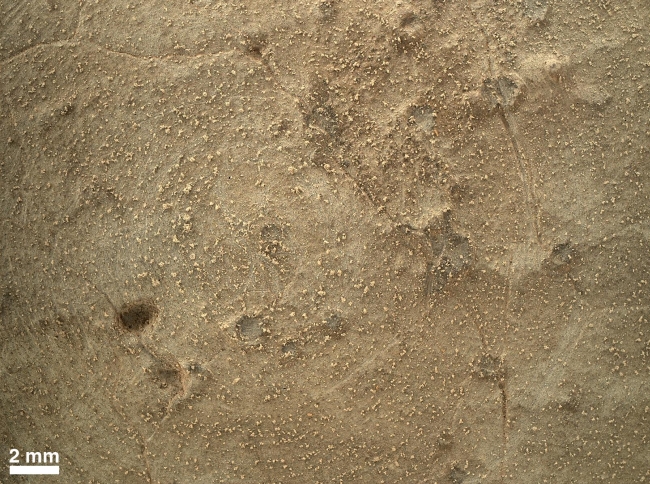 Close-up of Brushed Area on Martian Rock Target 'Ekwir_1',  This image from the Mars Hand Lens Imager (MAHLI) on NASA's Mars rover Curiosity shows details of rock texture and color in an area where the rover's Dust R...