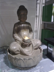 Kitch Buddha at Tchibo