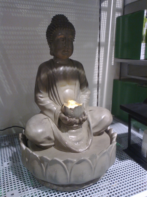 Kitch Buddha at Tchibo, 