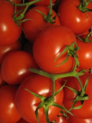 Tomaten