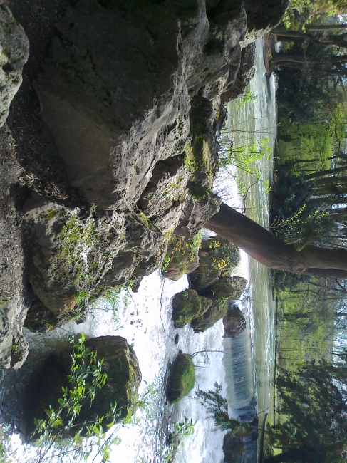 Rocks at the pond, Englischer Garten