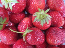 Erdbeeren