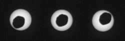 Annular Eclipse of the...