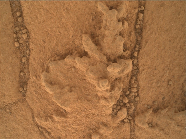 Resistant Features in 'Pahrump Hills' Outcrop, This image from the Mars Hand Lens Imager (MAHLI) camera on NASA's Curiosity Mars rover shows an example of a type of geometrically distinctive feature that ...