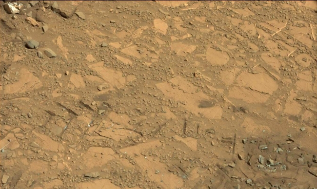 Drilling Candidate Site 'Bonanza King' on Mars, This image from the Mast Camera (Mastcam) on NASA's Curiosity Mars rover shows a portion of the pale rock outcrop that includes the "Bonanza King" target cho...
