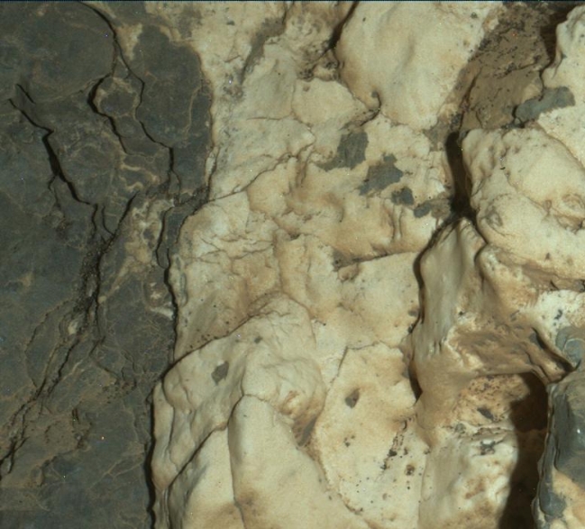 Night Close-up of Mineral Veins at 'Garden City,' Mars, Figure 1 Click on the image for larger version This view from the Mars Hand Lens Imager (MAHLI) on the arm of NASA's Curiosity Mars rover is a close-up of a ...