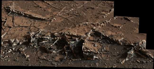 Prominent Veins at 'Garden City' on Mount Sharp, Mars, Figure 1 Click on the image for larger version Right click here to download half size resolution JPEG (See Photojournal Note below for full resolution TIFF) ...