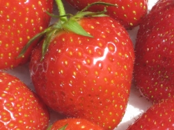 Strawberries