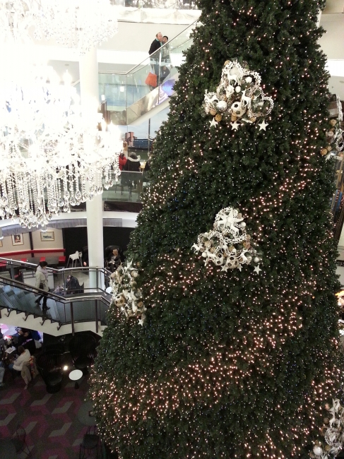 Schadow-Arkaden Weihnachtsbaum, 