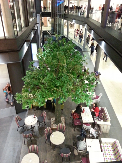 Forum Duisburg, Baum im UG neben Woyton