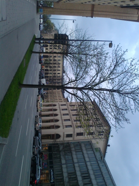 Looking towards Maximilianstraße, Munich, 