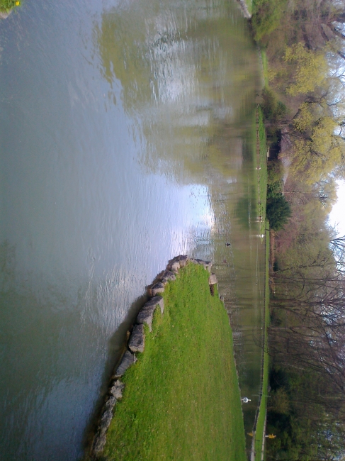 Lake at the Japanese House, English Garden, Munich