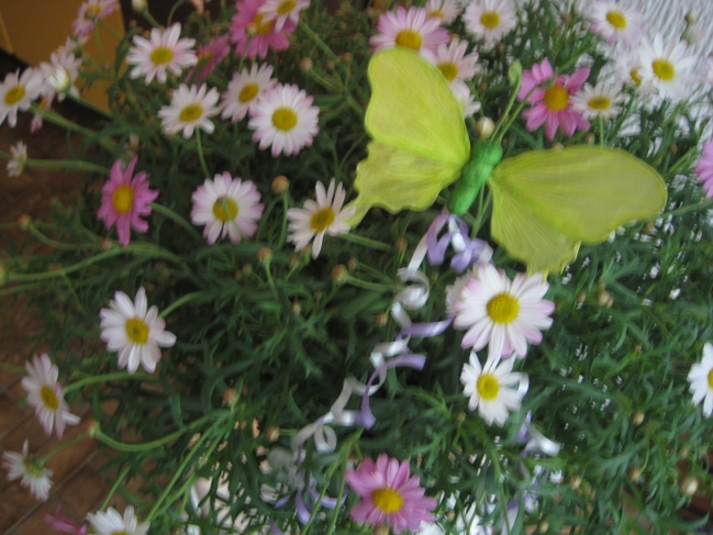 Butterfly and flowers, 