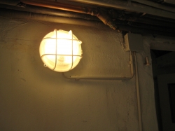 Cellar lamp