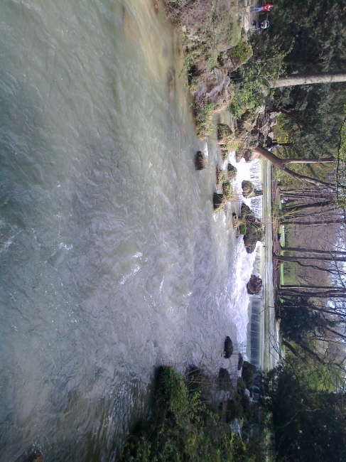 Central pond, Englischer Garten