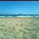 photo: 