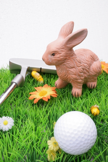 IMG_4109_Golfball_Schläger_Hase-von-vorn_auf_künstlicher_Wiese.JPG, 