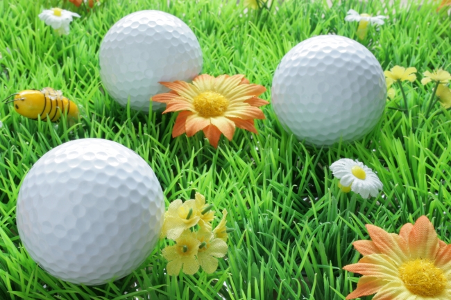 Three golf balls on artificial grass, Three golf balls, one in front, two in the background, white and orange blossoms and artificial grass as underground. Light from top, crisp focus, great dept...