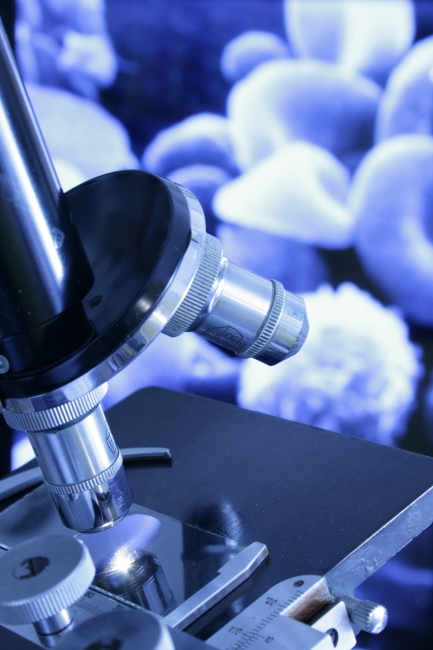 Microscope in front of a magnification of biologic cells, 