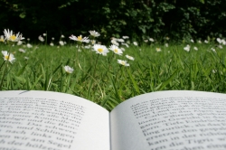 Lesen im Gras
