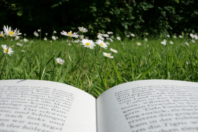 Lesen im Gras, Ein aufgeschlagenes Buch, auf einer Wiese mit Blümchen