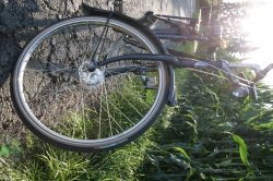 Fahrrad im Kornfeld