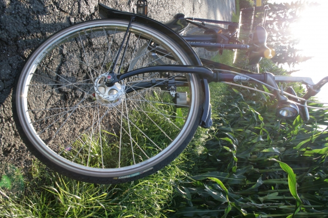 Fahrrad im Kornfeld, 