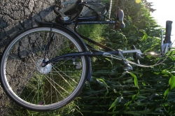 Fahrrad im Kornfeld 2