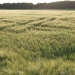 photo: 